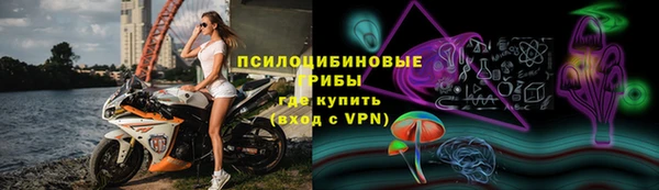 герыч Ступино