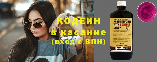 ГАЛЛЮЦИНОГЕННЫЕ ГРИБЫ Строитель
