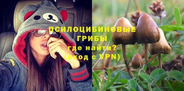 герыч Ступино