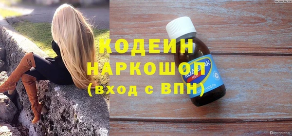 ГАЛЛЮЦИНОГЕННЫЕ ГРИБЫ Строитель