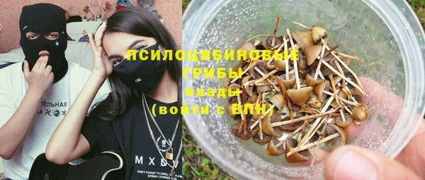 стаф Вяземский