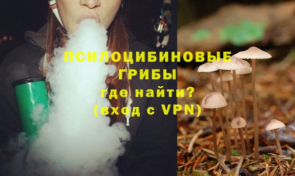 ГАЛЛЮЦИНОГЕННЫЕ ГРИБЫ Строитель