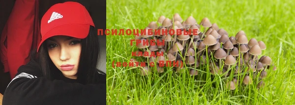 ГАЛЛЮЦИНОГЕННЫЕ ГРИБЫ Строитель